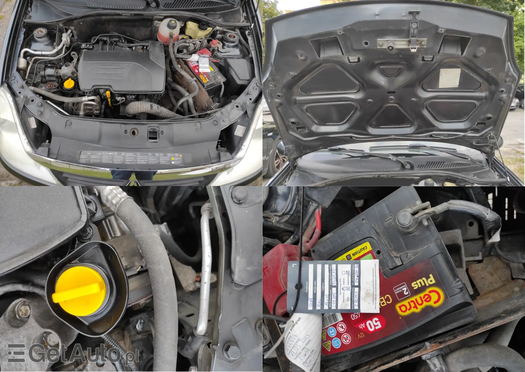 RENAULT Thalia All Inclusive 75