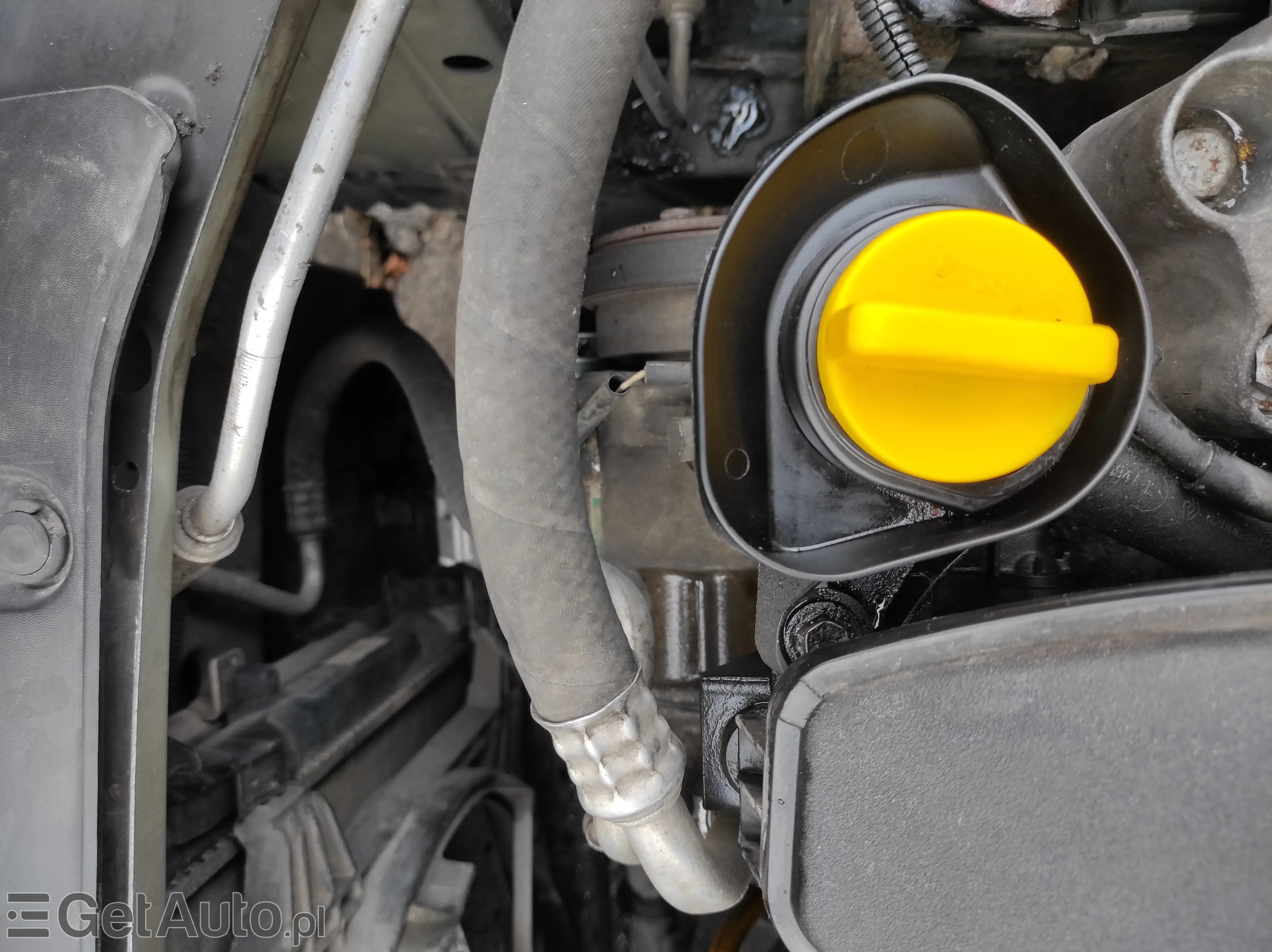 RENAULT Thalia All Inclusive 75