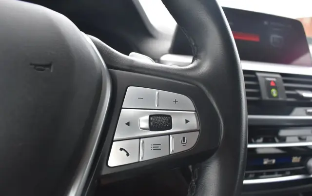 BMW X4 XDrive20i GPF Advantage sport