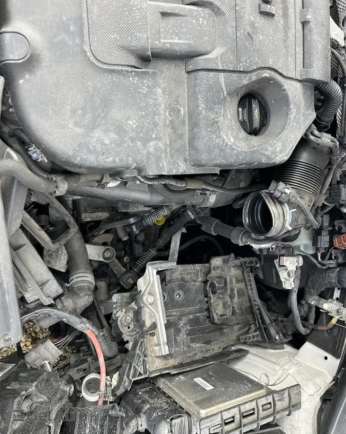 VOLKSWAGEN Golf 1.6 TDI (BlueMotion Technology) Trendline