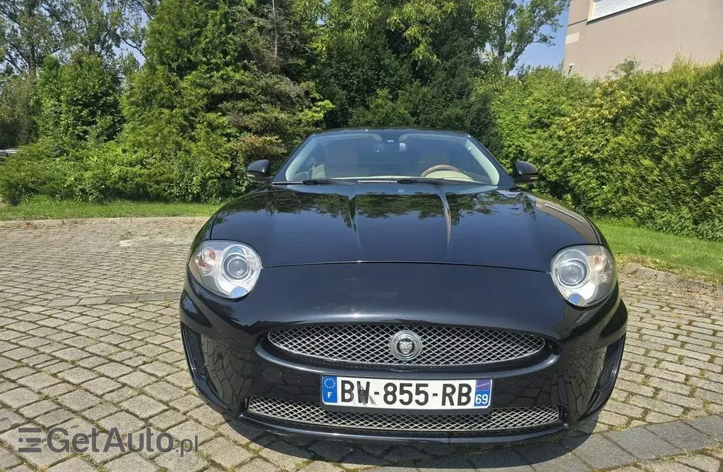 JAGUAR XK 