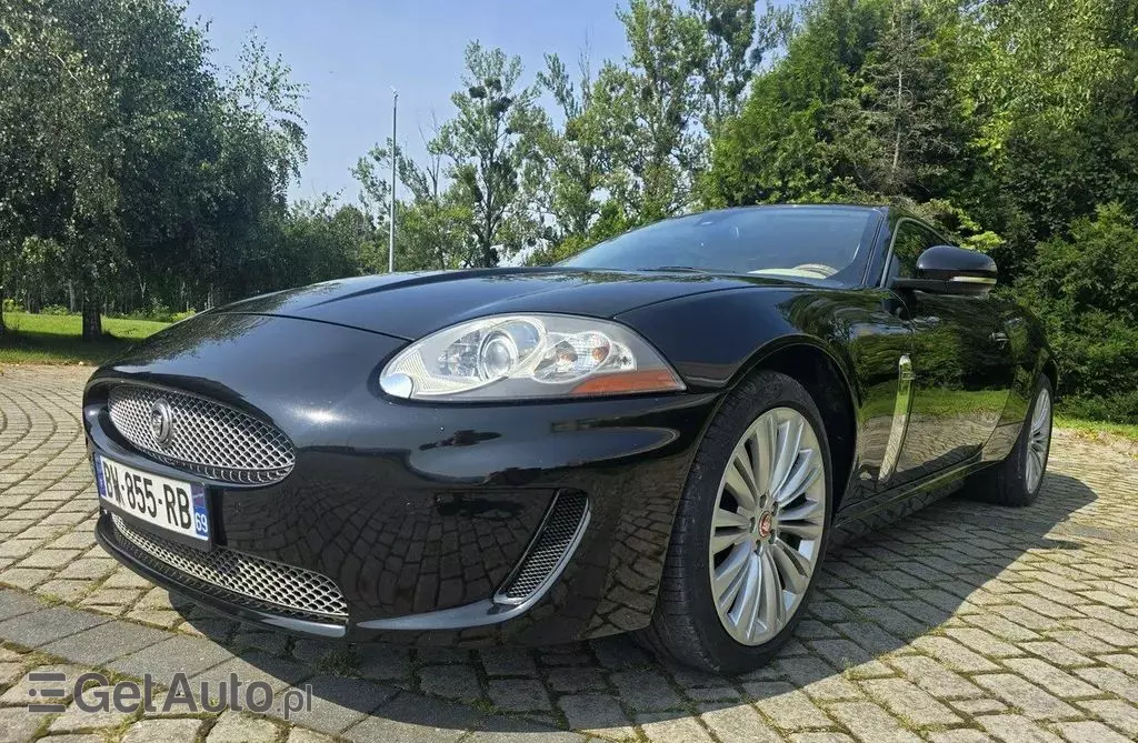 JAGUAR XK 