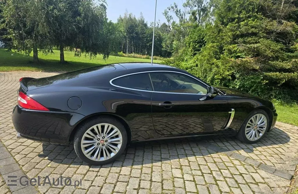 JAGUAR XK 