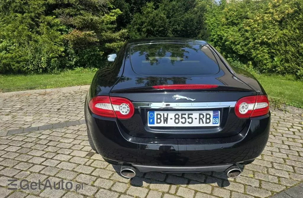 JAGUAR XK 