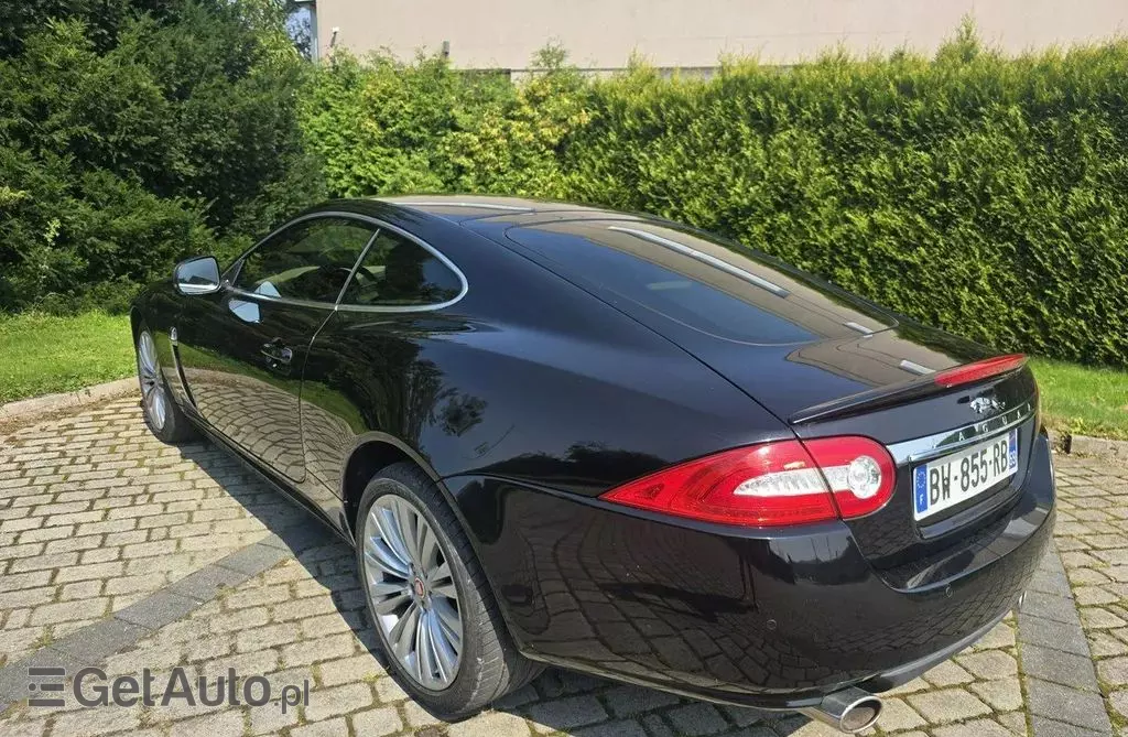 JAGUAR XK 