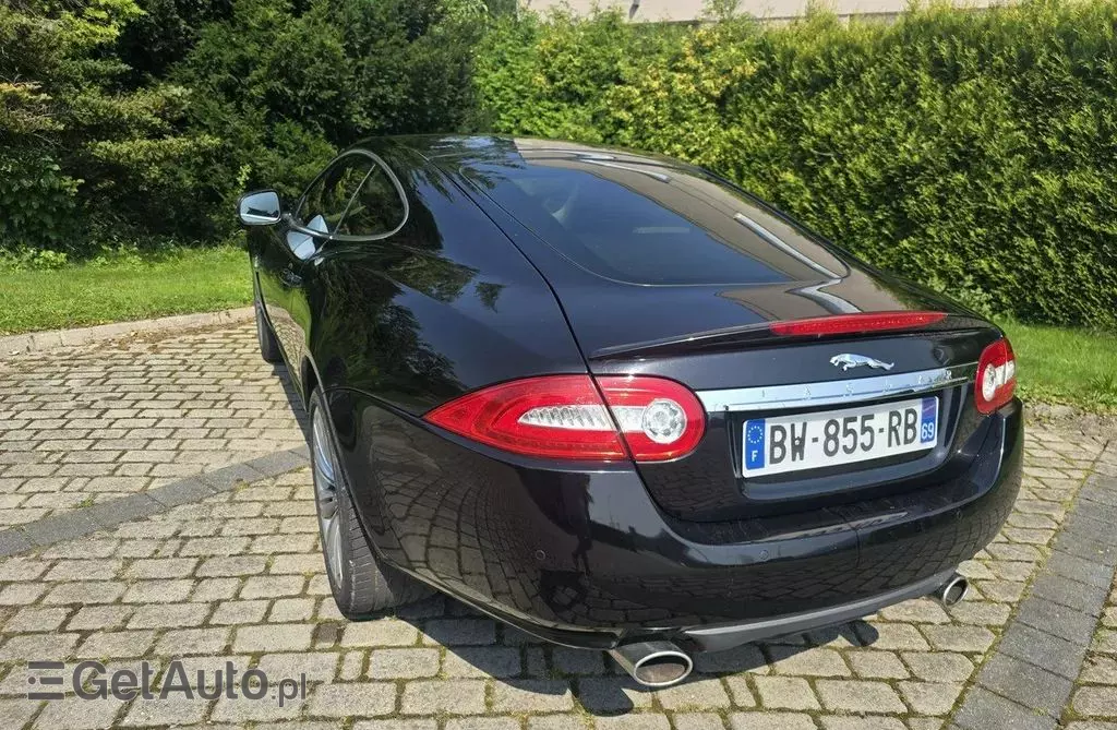 JAGUAR XK 