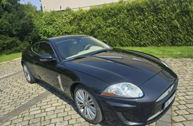 JAGUAR XK 