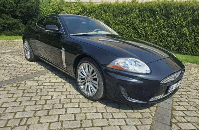 JAGUAR XK 