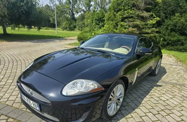 JAGUAR XK 