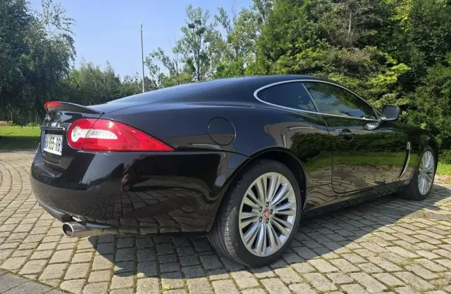 JAGUAR XK 