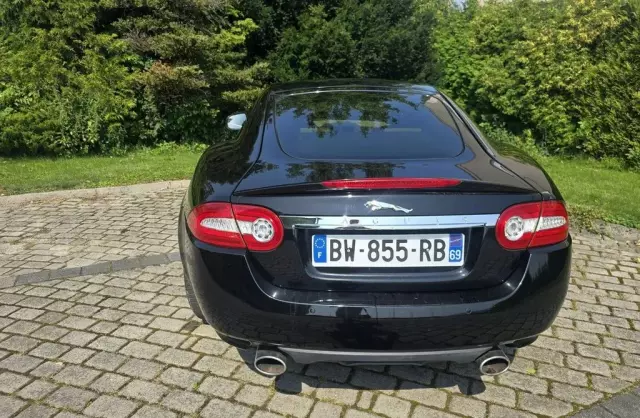 JAGUAR XK 