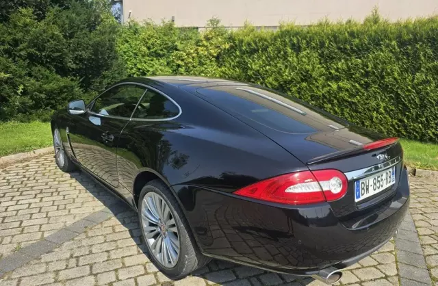 JAGUAR XK 