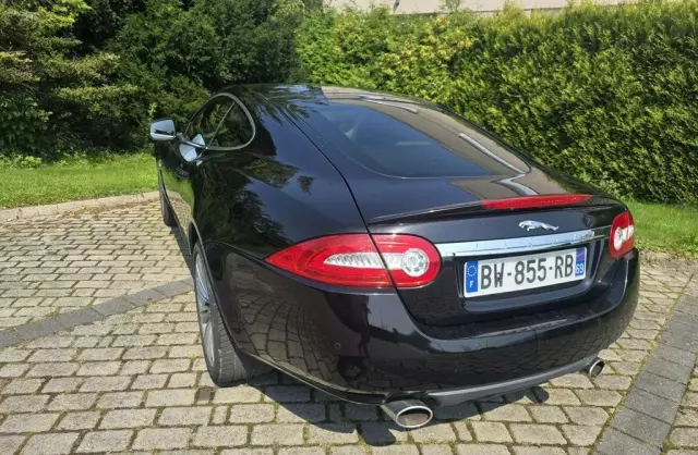 JAGUAR XK 