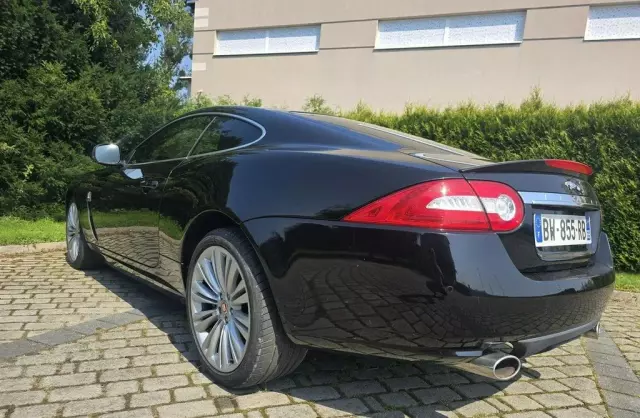 JAGUAR XK 