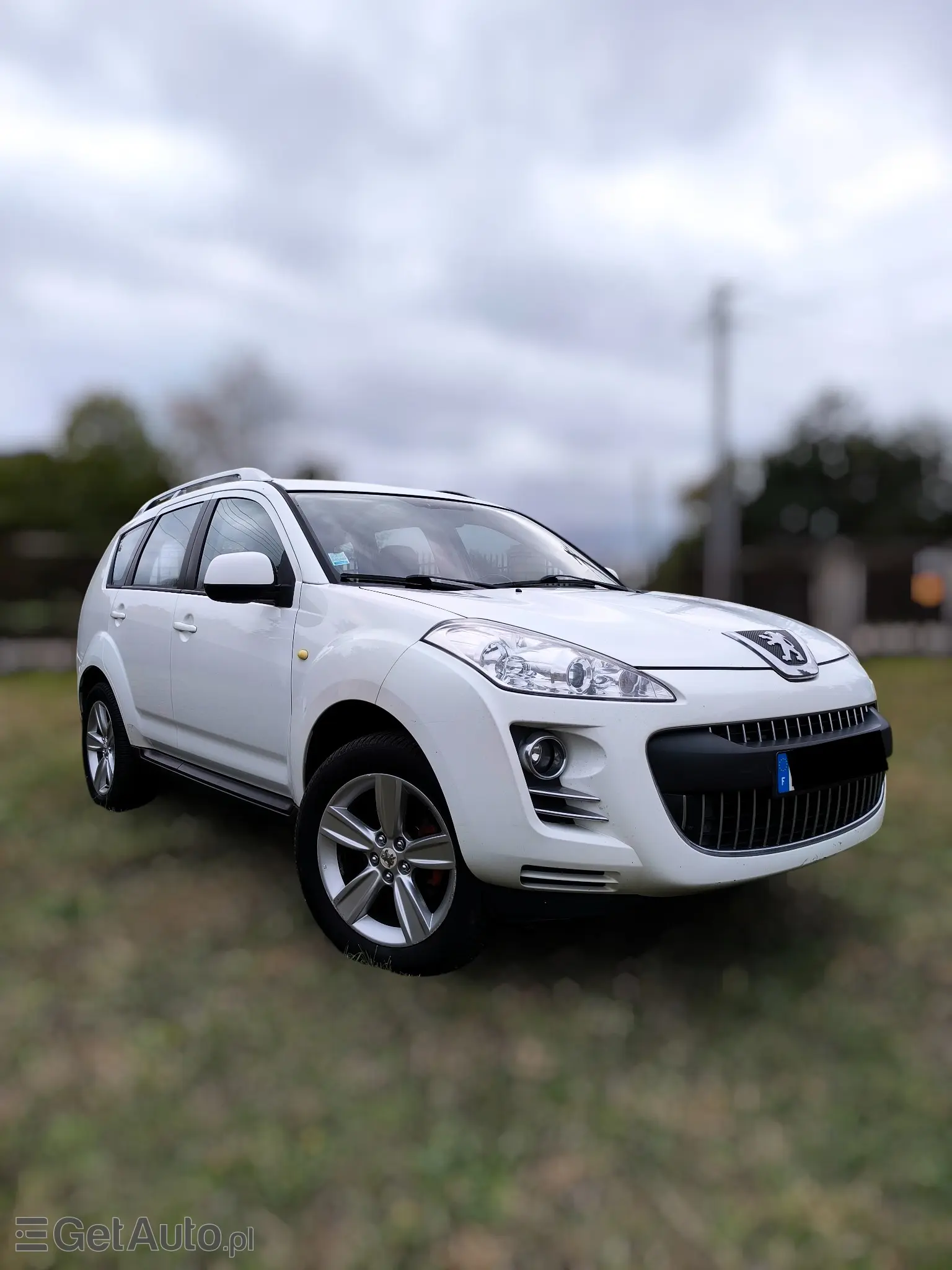 PEUGEOT 4007 Platinum