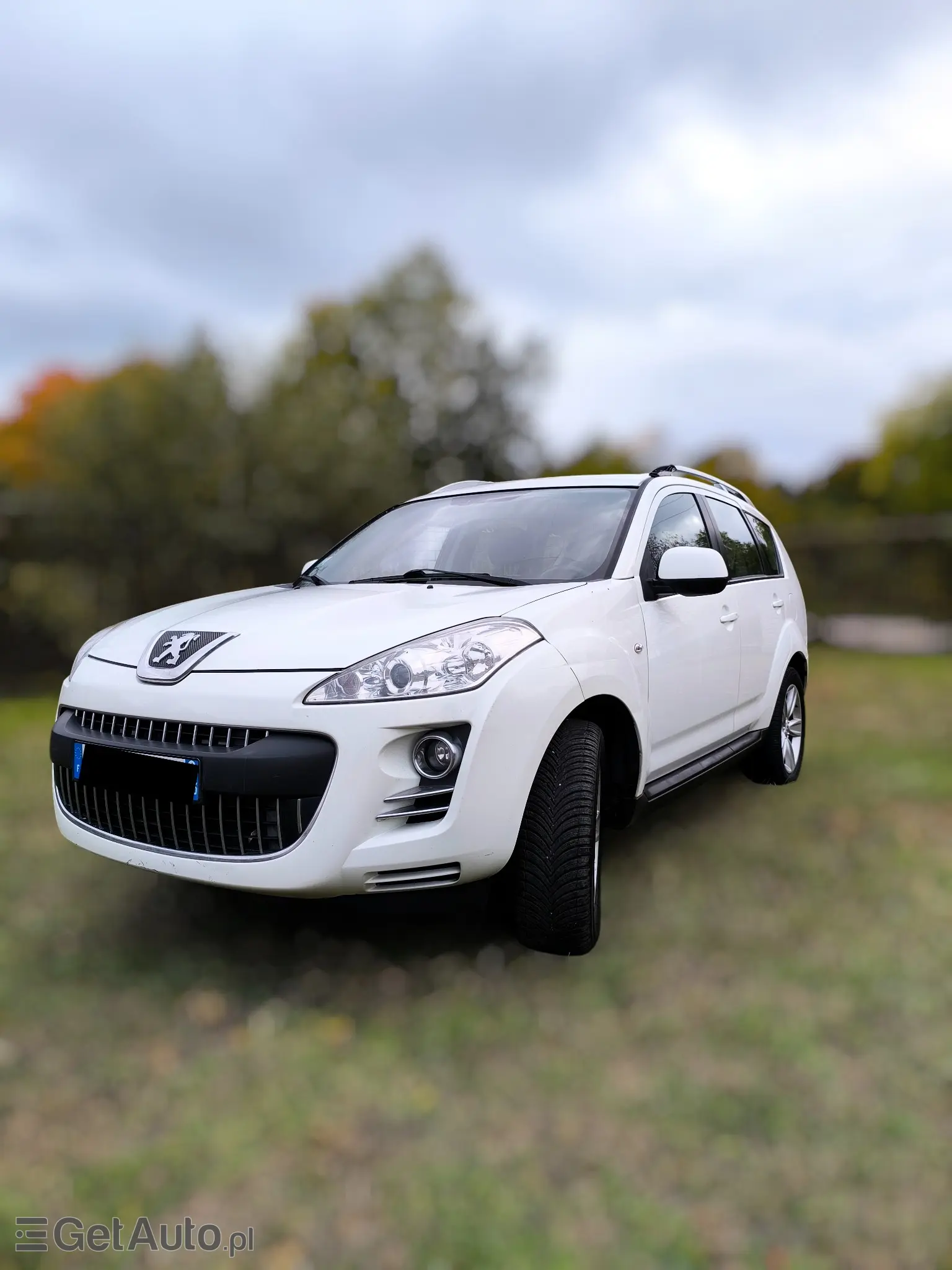 PEUGEOT 4007 Platinum