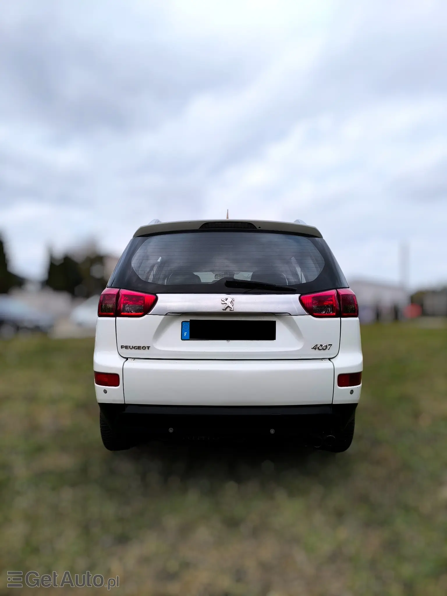 PEUGEOT 4007 Platinum