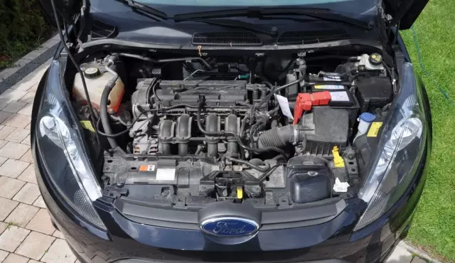 FORD Fiesta 1.25 (82 KM) 5d