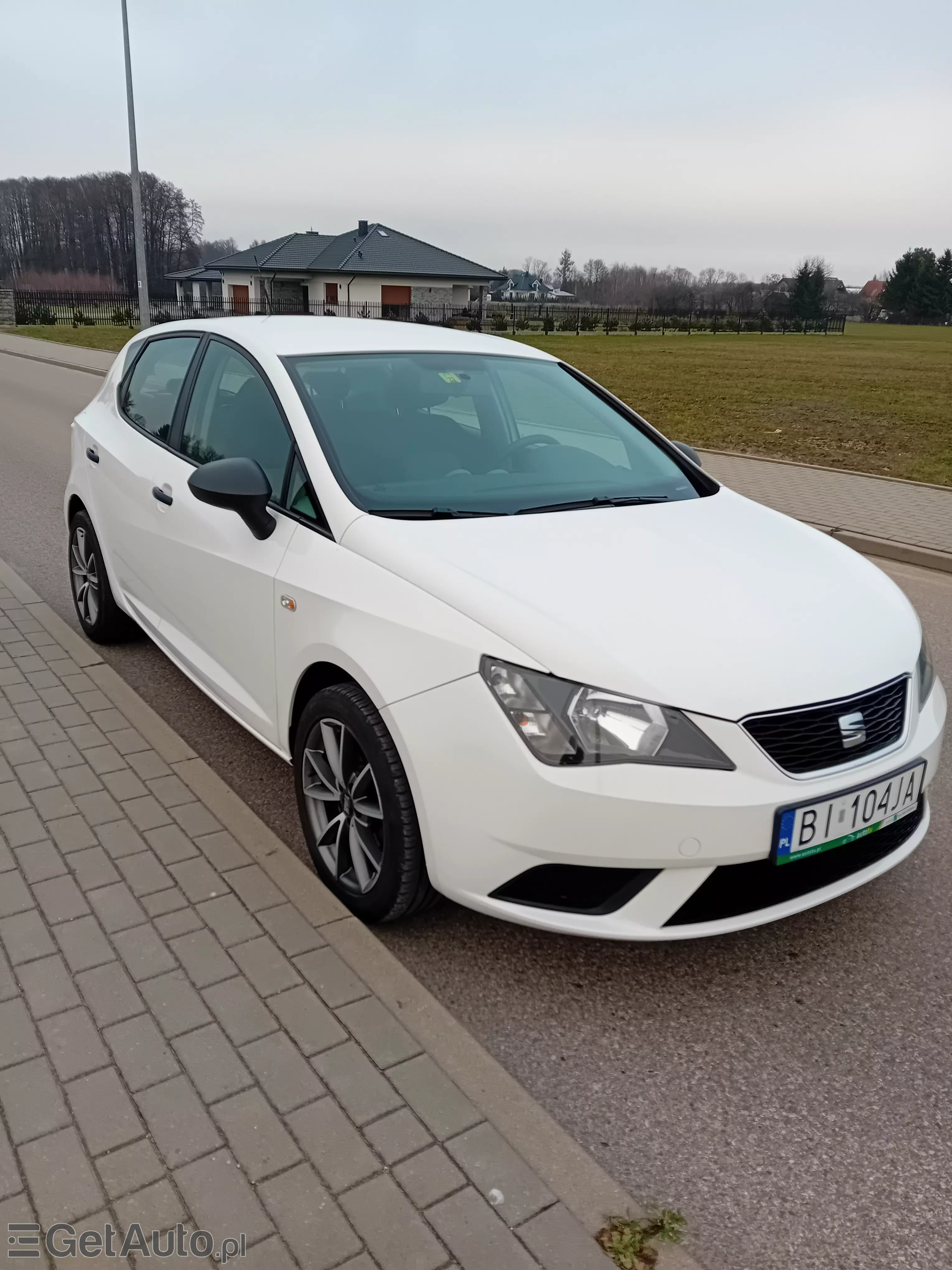 SEAT Ibiza Reference