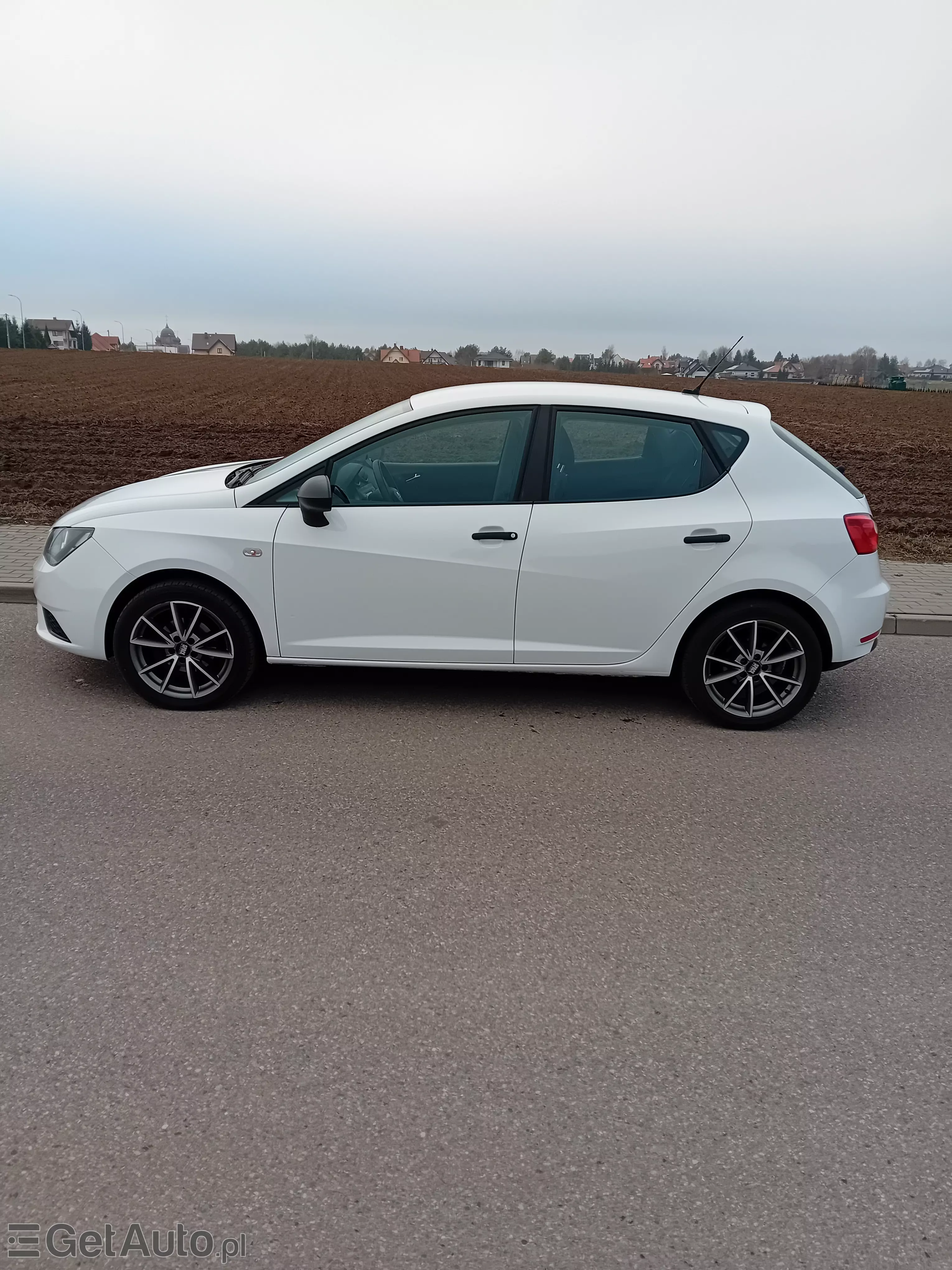 SEAT Ibiza Reference