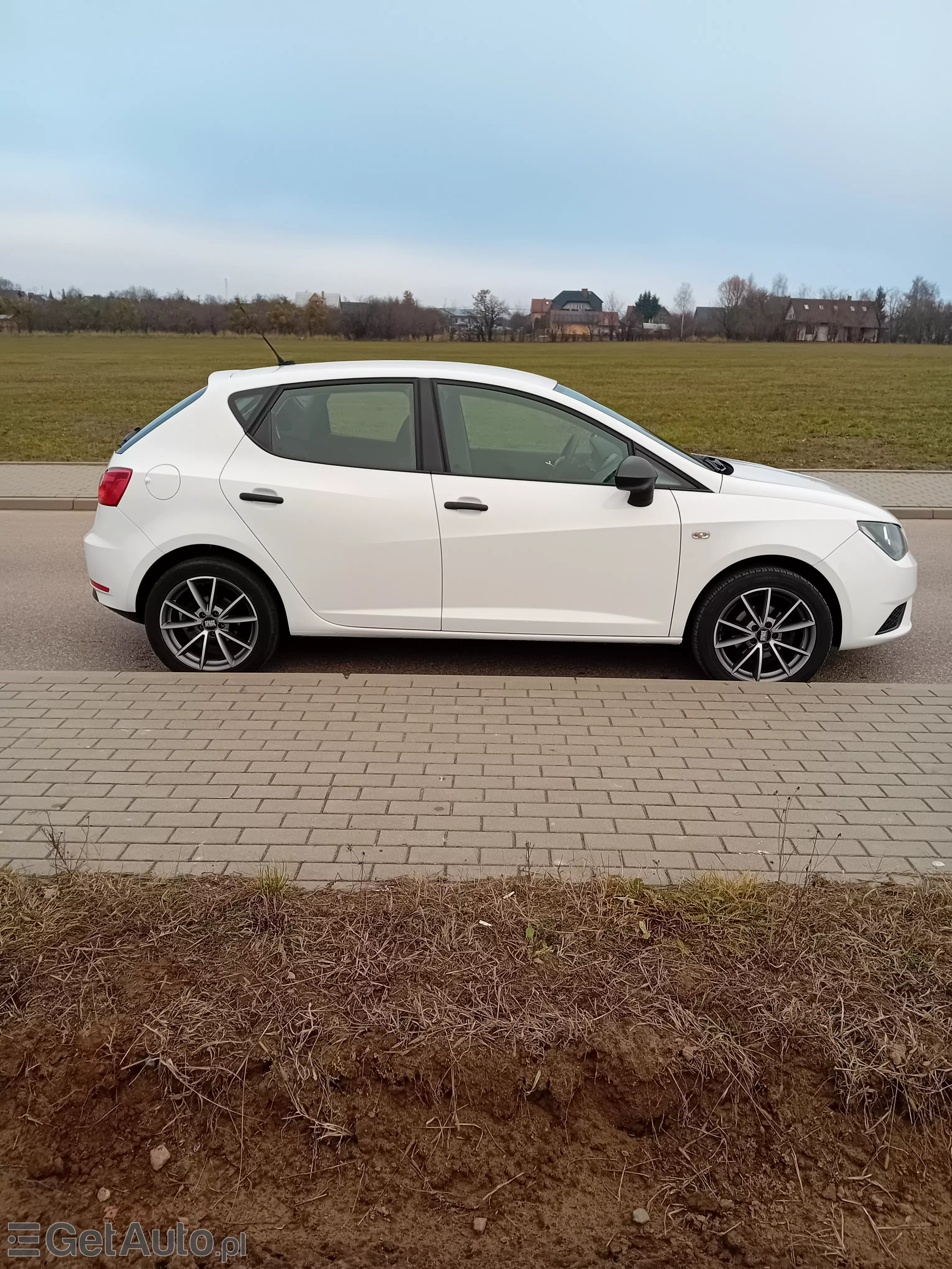 SEAT Ibiza Reference