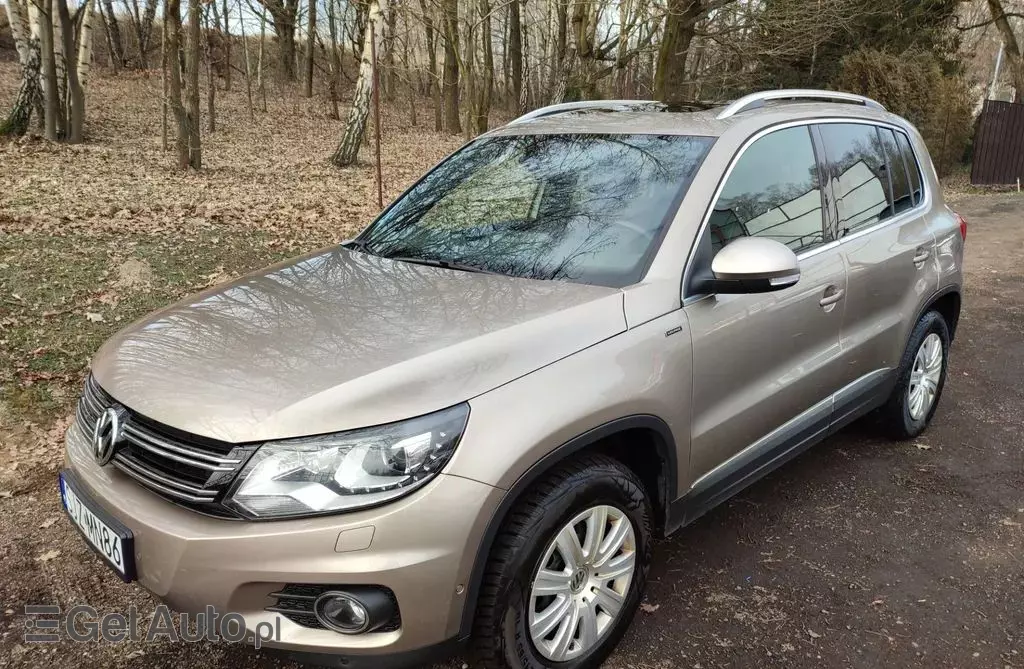 VOLKSWAGEN Tiguan 