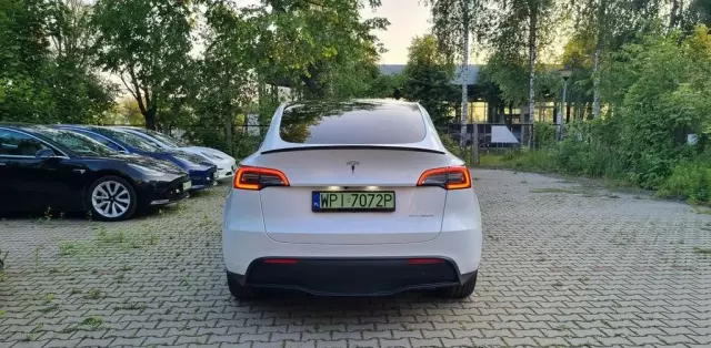 TESLA Y 