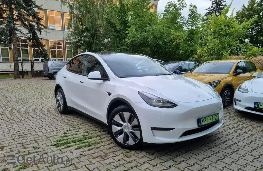 TESLA Y 