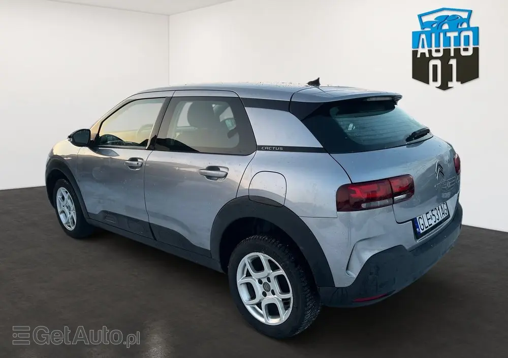 CITROËN C4 Cactus PureTech 110 Stop&Start Shine