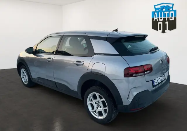 CITROËN C4 Cactus PureTech 110 Stop&Start Shine