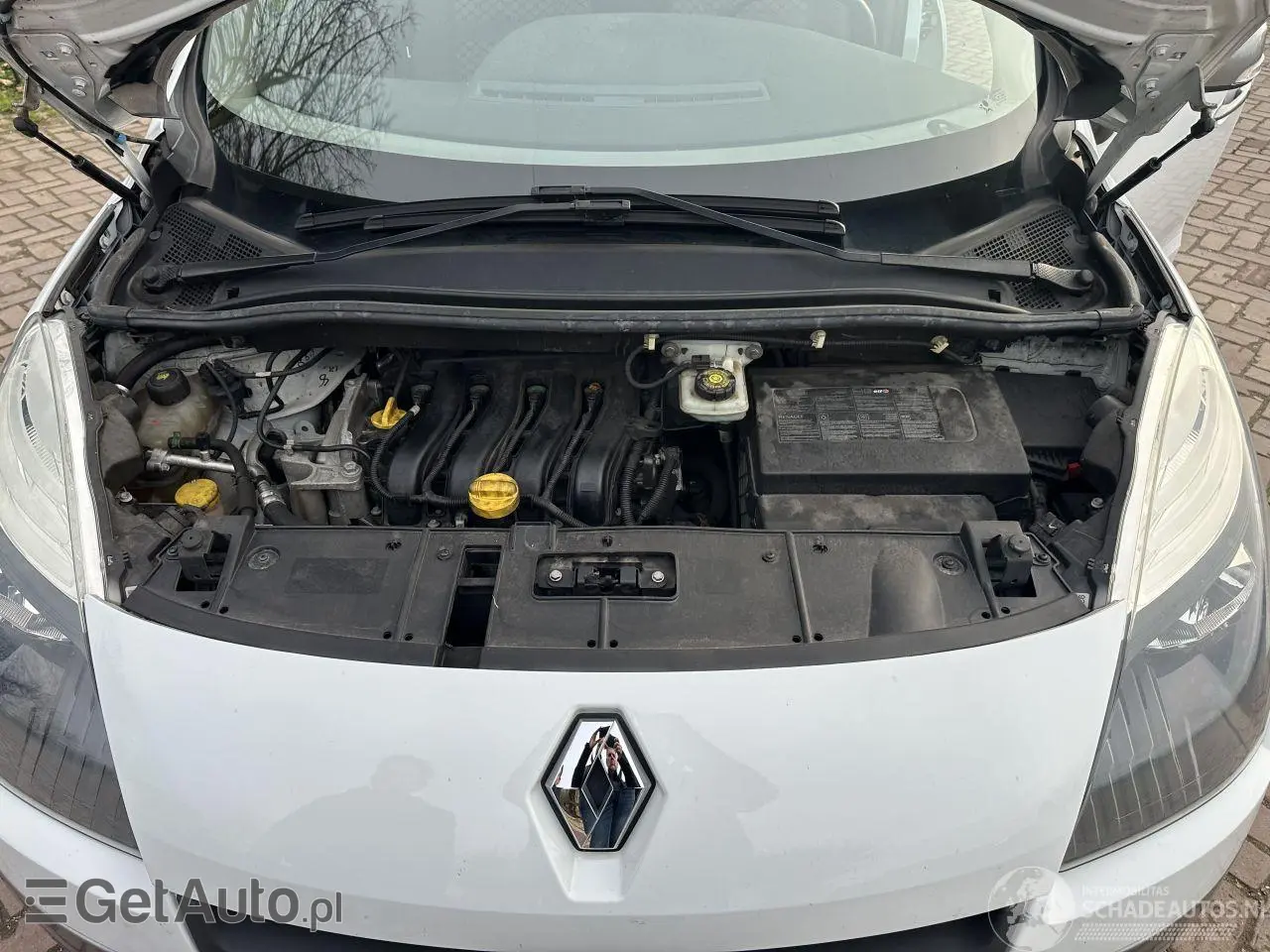 RENAULT Scenic Authentique 110