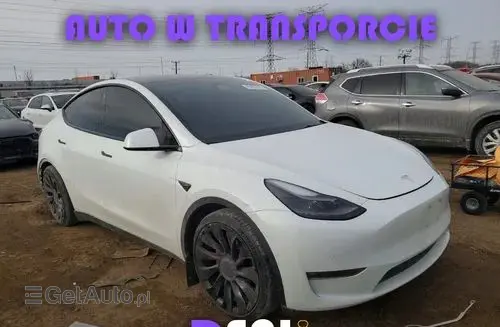 TESLA Y 