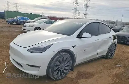 TESLA Y 