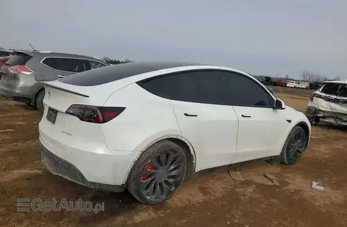 TESLA Y 