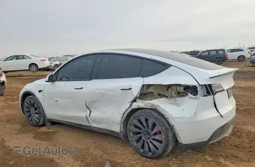 TESLA Y 