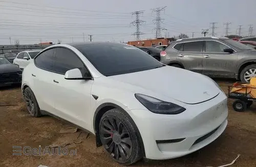TESLA Y 