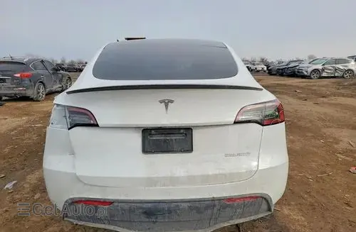 TESLA Y 