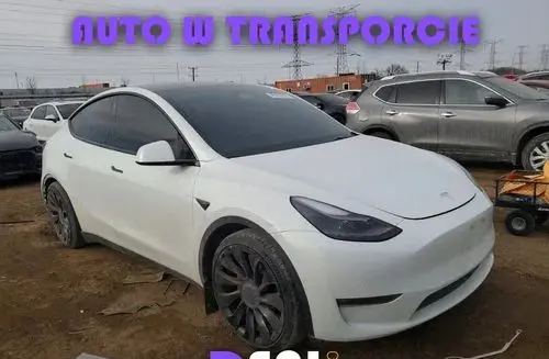 TESLA Y 