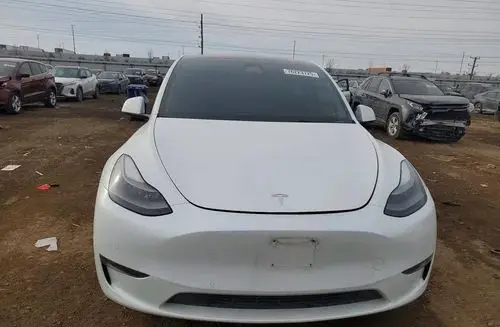 TESLA Y 
