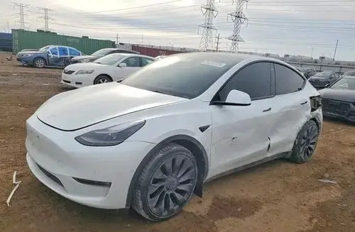 TESLA Y 