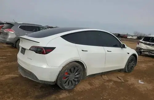 TESLA Y 