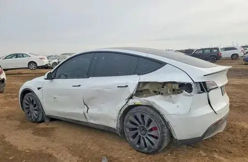 TESLA Y 