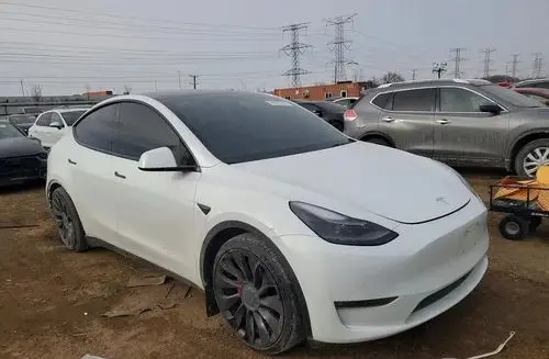 TESLA Y 
