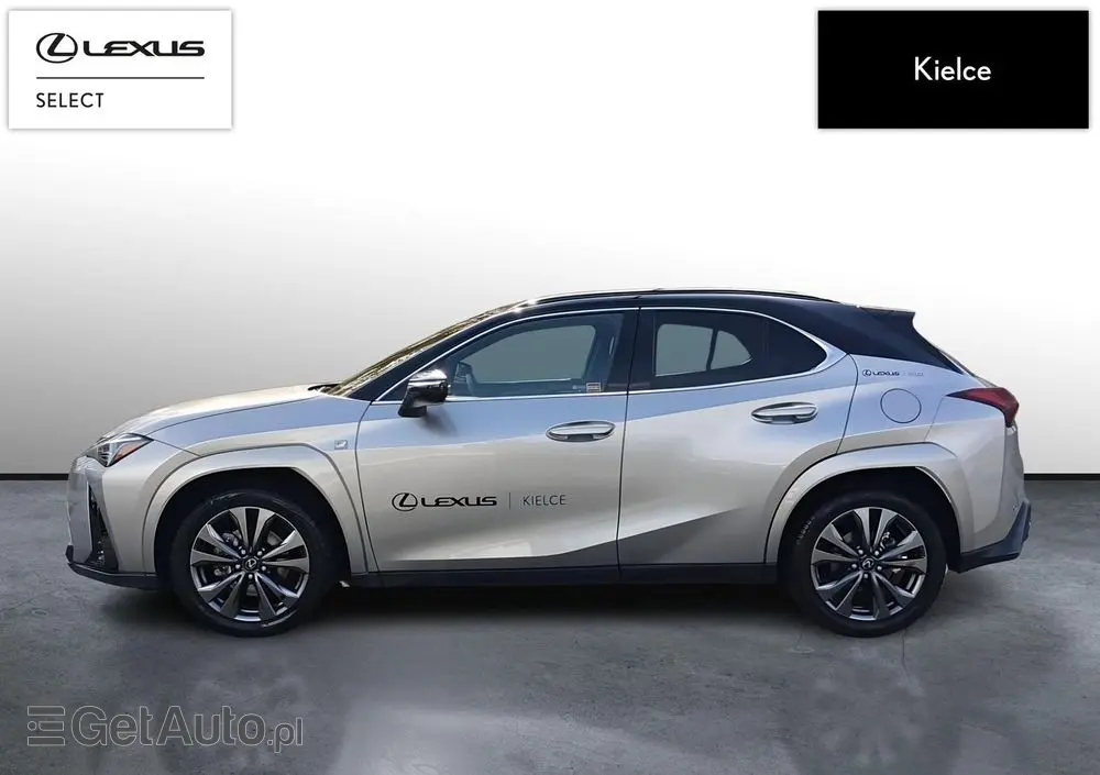 LEXUS UX 300h F Sport AWD
