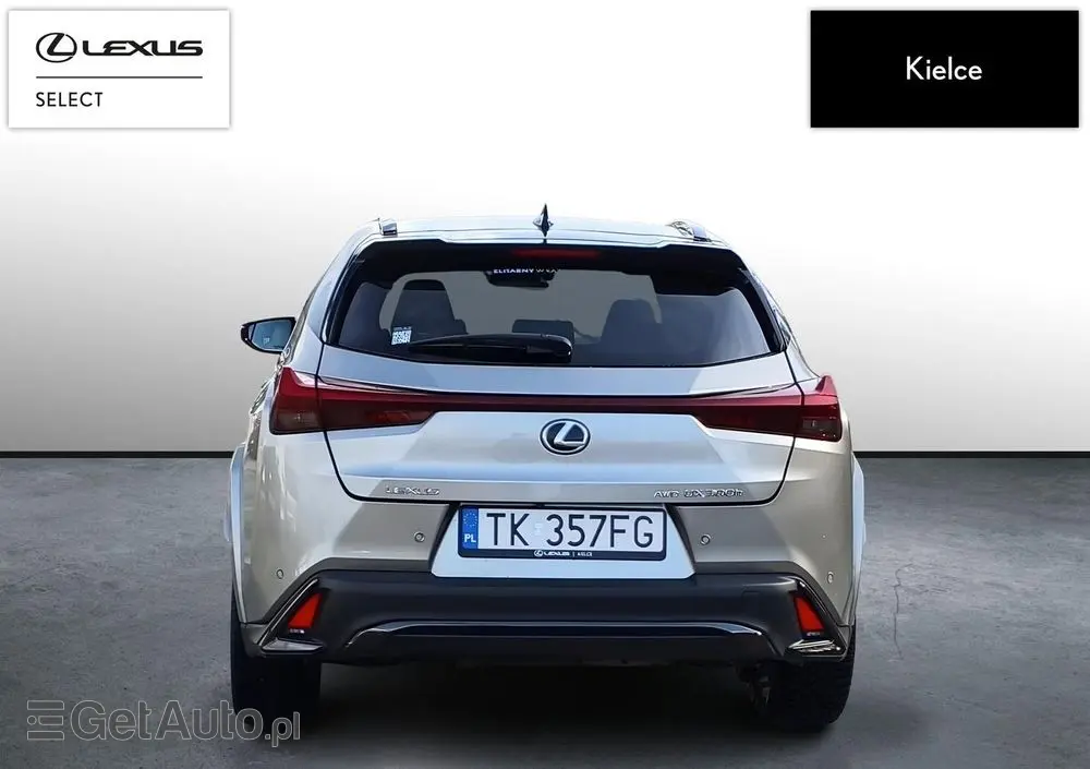 LEXUS UX 300h F Sport AWD