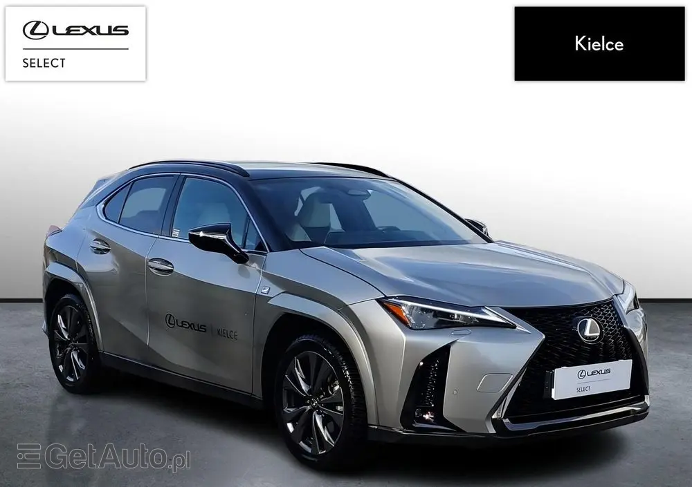 LEXUS UX 300h F Sport AWD