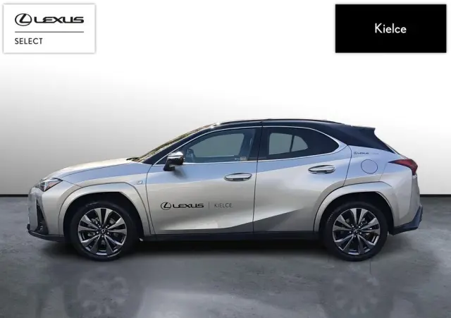 LEXUS UX 300h F Sport AWD