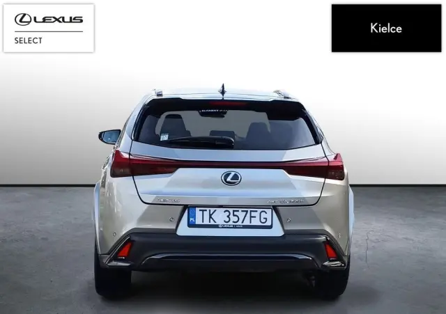 LEXUS UX 300h F Sport AWD