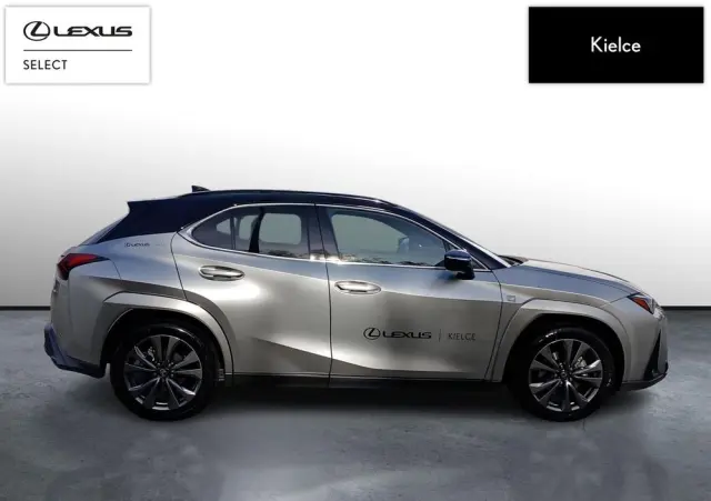 LEXUS UX 300h F Sport AWD