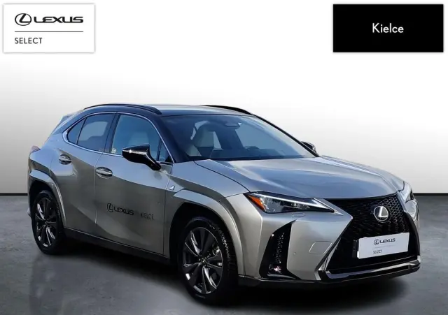 LEXUS UX 300h F Sport AWD